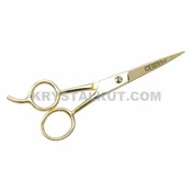 Professional Hair Cutting/ Styling Shears