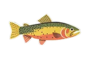 23 Pack of Native Trout Stickers