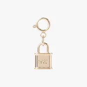 1982 Padlock