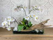 White Orchids in Glass Trough