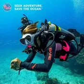 PADI Open Water (Beginner) Certification: Registration, Academics, and In Water Training