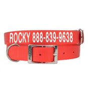 Coastal Pet Products Personalized Dog Collar