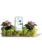 Plant Amp – Houseplant Terrarium and Smart Phone Stand