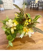 2 PLANT BASKET WITH BOWS