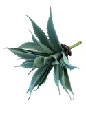 Aloe Succulent Pick