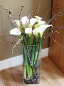 12 Tall White Calla Lilies in Tall Squared Vase
