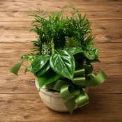 Ceramic Dish Garden, 8”