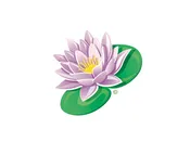 Lilly Pad