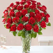 24 Premium Long Stems Red Roses