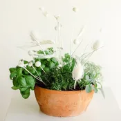Herb Appeal — Shelly Sarver Designs | Floral & Event Design