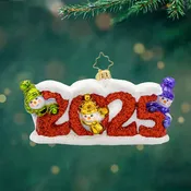 2025 Snow Day
