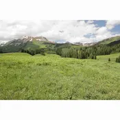 Bulk Rocky Mountain Native Mix Grass Seed AVS 1lb