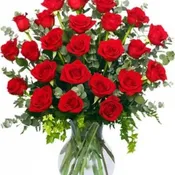 24 RADIANT ROSES RED ROSES ARRANGEMENT