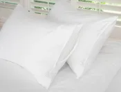 Cotton Zippered Pillow Protector Pair