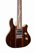 Mandobeest Guitar