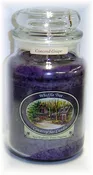 Concord Grape