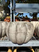 COLORFUL PUMPKIN PLANTER 9.5"HX14"W