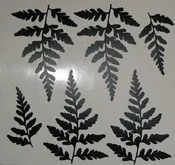 Vinyl  #1 Fern