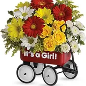 Baby's Wow Wagon by Teleflora - Girl