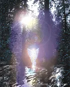 Angel Tends Garden of the Tree of Life
