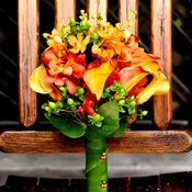 50 Orchid 40 Mini Calla DIY Wedding Flower Kit