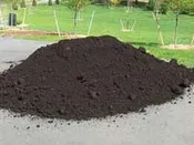 Top Soil Screened