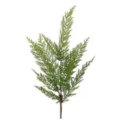 24" Lebanon Cedar Spray