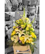 ALL ABOUT THE YELLOW