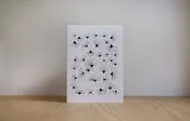 Gingko Leaf Layout