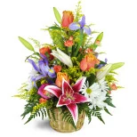 Stargazer Blessings Basket™