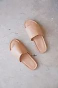 Standard Slide - Camel