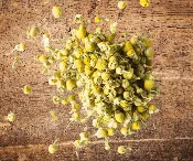 Chamomile Blossoms — White Pine and Petals  Flowers, Weddings, Plants and Gifts Roscommon Higgins Lake