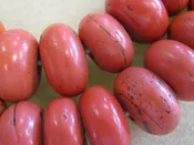 Antique Sherpa Beads – “Coral” Glass Bead Strand