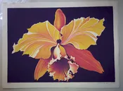 Orchid by Lowell Nesbitt