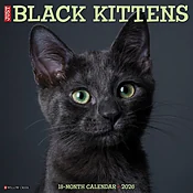 Black Kitties 2026 Wall Calendar