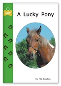 A Lucky Pony