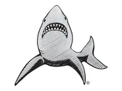 Shark BW