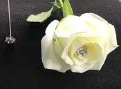 Add a Aurora Borealis Pin