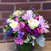 Appreciation Arrangement II