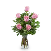Pink Roses (6)