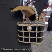Beaded $30 Rhinestone Purse | OptimismIC Wigs and Gifts