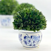 Boxwood Ball Topiary in Round Bulb Blue & White Ceramic Pot