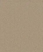 Anderson Tuftex Carpet Diego Antique 00116_ZZ223