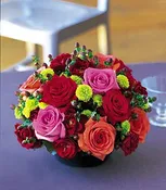 Orange, Pink & Red Roses