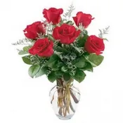 1/2 DOZEN ROSES IN VASE