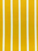 Mustard/White Polyester/Lycra Vertical Stripe Print DTY Knit 59W