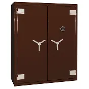 GUN SAFE