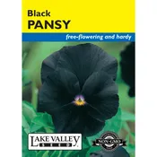 Viola, Pansy 'Black' Heirloom