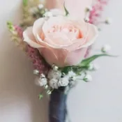 Spray rose boutonnierre