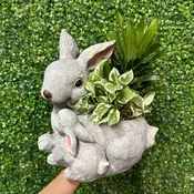 Bunny in Bloom
